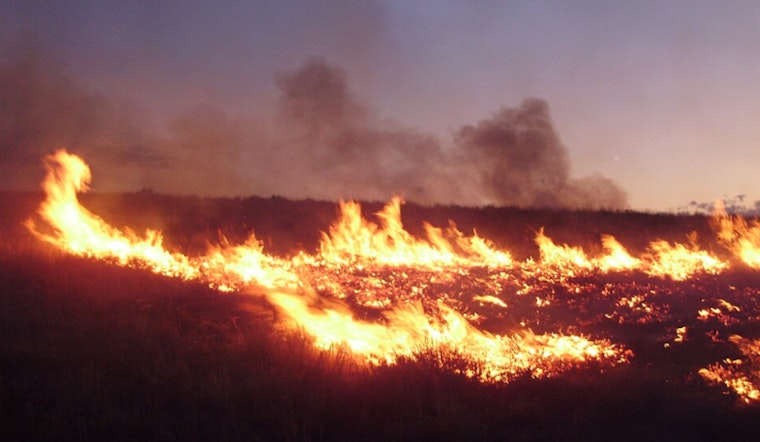 Rock Fire Rips Through Fairmont Brush, Triggers Second Alarm