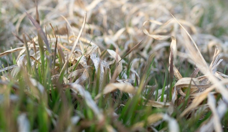 Rocky Mount Puts Lawns On Notice As Mandatory Water Rules Hit