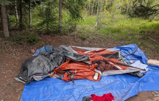 Rogue Bear Rips Tents, Triggers Gore Creek Camping Crackdown Near Vail