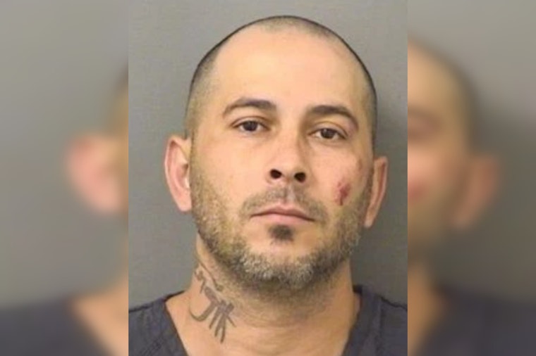 Roof-Running Fugitive Busted After Backyard Chase In West Palm Beach