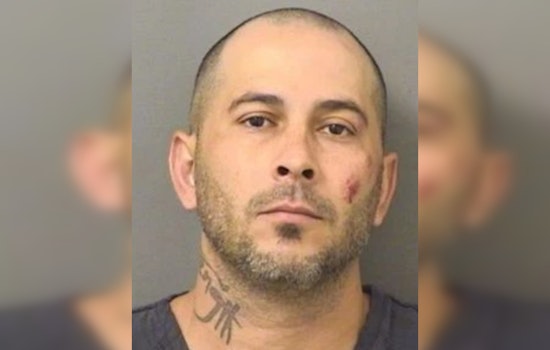 Roof-Running Fugitive Busted After Backyard Chase In West Palm Beach
