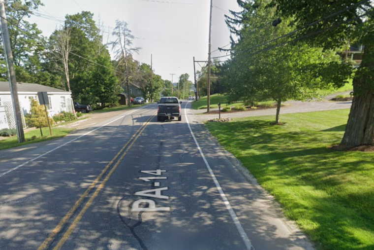 Route 14 Snake Dump Shocks Bradford County as Cops Hunt Cold-Blooded Culprit