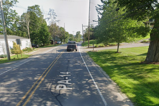 Route 14 Snake Dump Shocks Bradford County as Cops Hunt Cold-Blooded Culprit