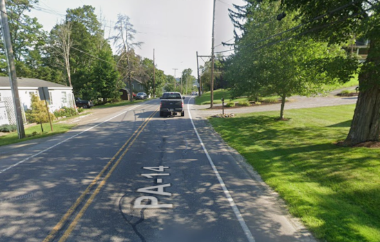 Route 14 Snake Dump Shocks Bradford County as Cops Hunt Cold-Blooded Culprit