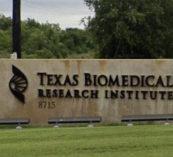 Runaway Baboons Spark Brief Scare At Texas Biomed Campus