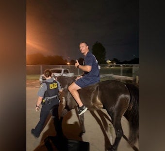 Runaway Horse Spurs Pre-Dawn Rodeo On SE 66th In OKC