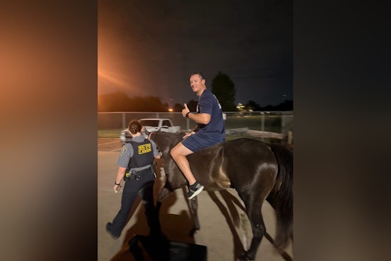 Runaway Horse Spurs Pre-Dawn Rodeo On SE 66th In OKC