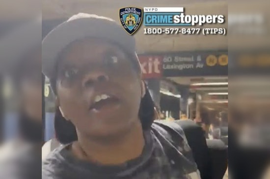 Rush-Hour Cellphone Smackdown At 59th Street Subway Spurs Citywide Hunt
