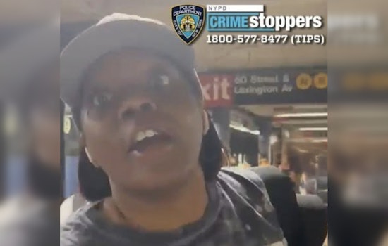 Rush-Hour Cellphone Smackdown At 59th Street Subway Spurs Citywide Hunt