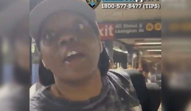 Rush-Hour Cellphone Smackdown At 59th Street Subway Spurs Citywide Hunt