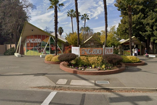 Sacramento Zoo’s Guinness The Gator Gobbles Kid’s Plush In Scary Close Call