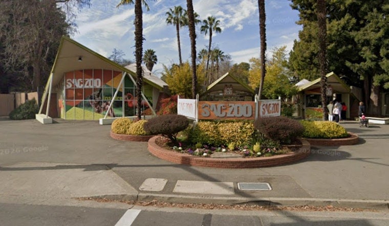 Sacramento Zoo’s Guinness The Gator Gobbles Kid’s Plush In Scary Close Call