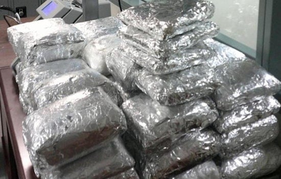 San Diego Border Bust Nabs 130 Pounds Of Hard Drugs