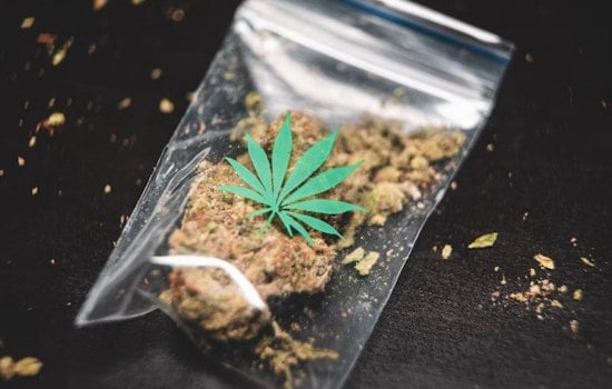 San Diego Puts Squeeze On Underground Weed Deliveries