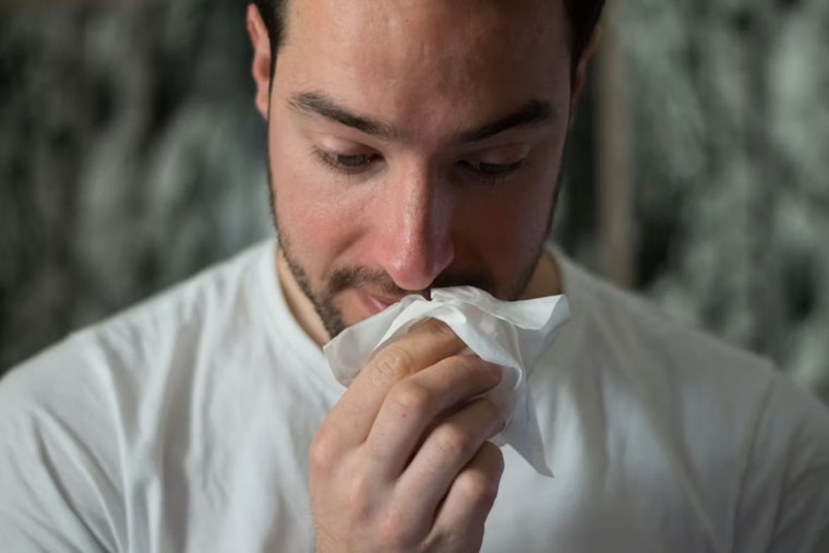 San Diego Sniffle Surge: City Rockets To No. 2 Allergy Hot Spot