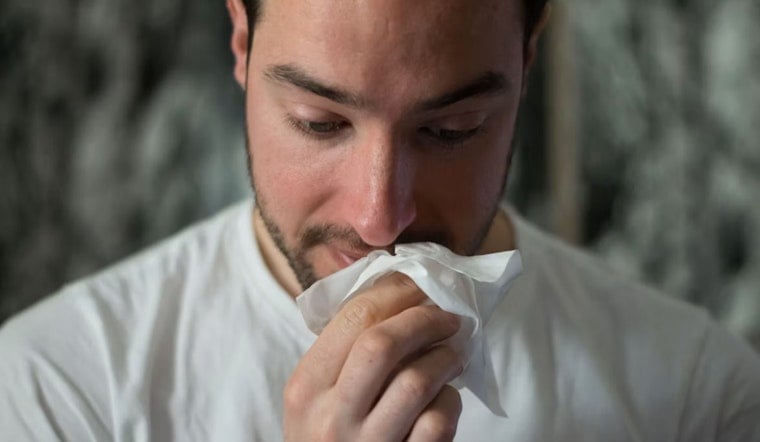 San Diego Sniffle Surge: City Rockets To No. 2 Allergy Hot Spot