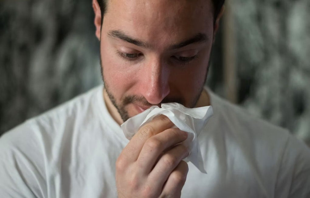 San Diego Sniffle Surge: City Rockets To No. 2 Allergy Hot Spot