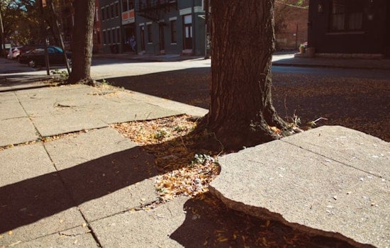 San Diego Yanks Sidewalk Freebie as Homeowners Race the Clock