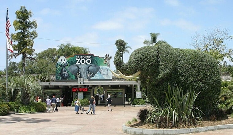 San Diego Zoo Pulls Plug on Nighttime Favorite After 25-Year Run