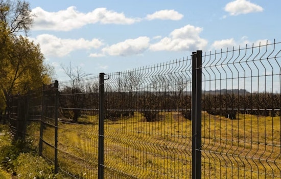San Luis Valley Showdown: Billionaire’s Fence Puts Wildlife On Lockdown
