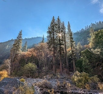 San Mateo Couple Swept to Their Deaths at Kings Canyon Waterfall
