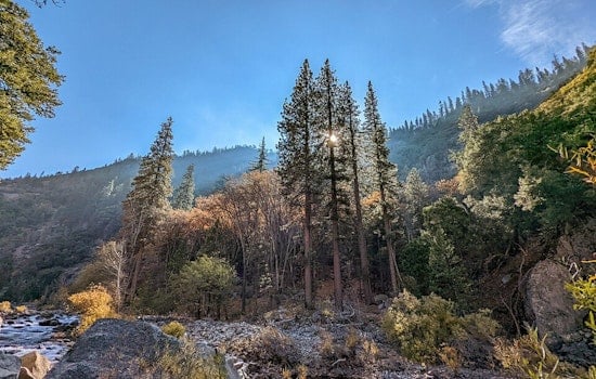 San Mateo Couple Swept to Their Deaths at Kings Canyon Waterfall