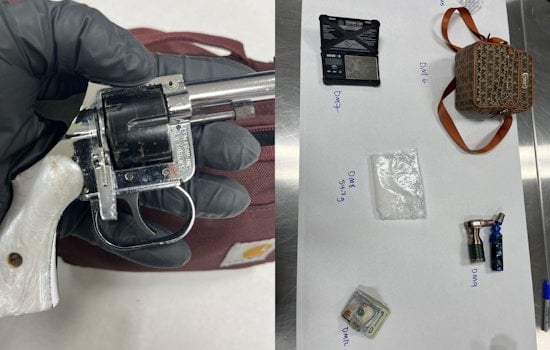 San Rafael Tinted-Window Stop Turns Into Gun And Meth Bust