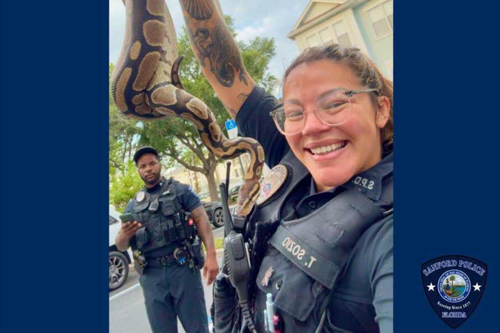Sanford Cops Called to Bathroom Battle With Ball Python