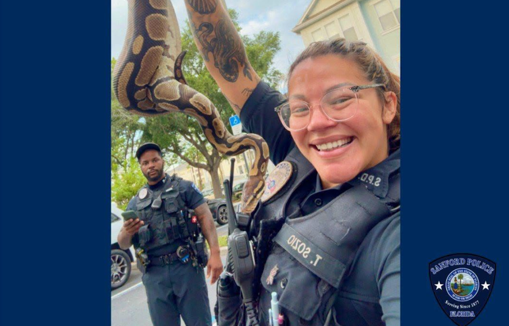 Sanford Cops Called to Bathroom Battle With Ball Python