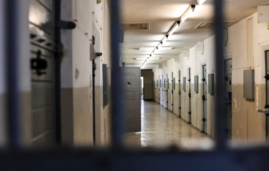 Seattle Man Hauled Into Custody in Alleged Terror Plot