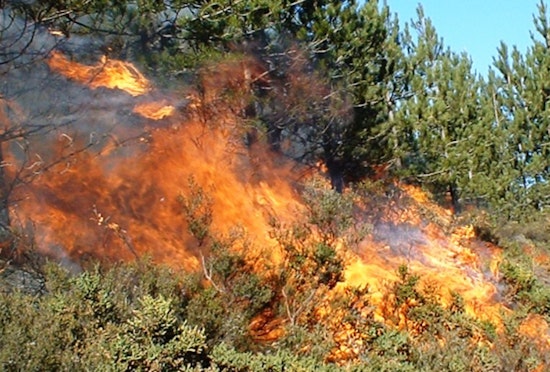 Second-Alarm Brush Fire Near Palmdale Burns About 50 Acres