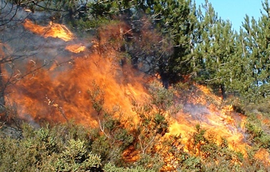 Second-Alarm Brush Fire Near Palmdale Burns About 50 Acres