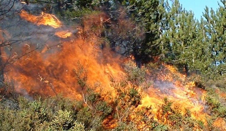 Second-Alarm Brush Fire Near Palmdale Burns About 50 Acres