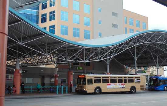 Seminole Puts LYNX on the Hot Seat Over Surging Paratransit Costs
