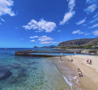 Shark Sighting Sends Swimmers Scrambling at Oahu's Electric Beach