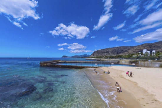 Shark Sighting Sends Swimmers Scrambling at Oahu's Electric Beach