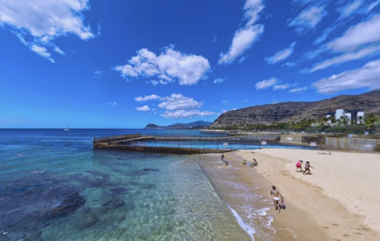 Shark Sighting Sends Swimmers Scrambling at Oahu's Electric Beach