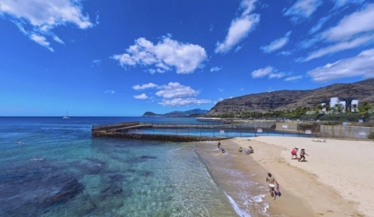 Shark Sighting Sends Swimmers Scrambling at Oahu's Electric Beach