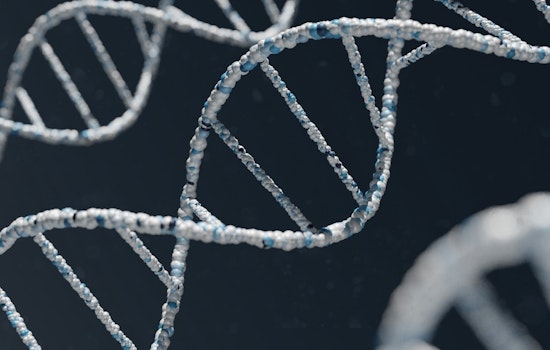 Shelby County Begins Rapid DNA Plan At TBI Jackson Lab