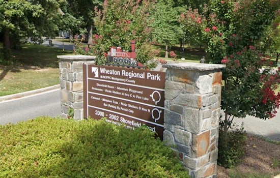 Shot Fired In Gun Struggle At Wheaton Park, Cops Find No Victim