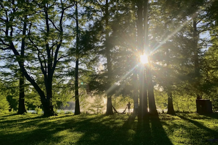 Shuttle to the Woods Free Ride Opens Forest Park to Every Portlander