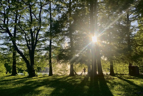 Shuttle to the Woods Free Ride Opens Forest Park to Every Portlander