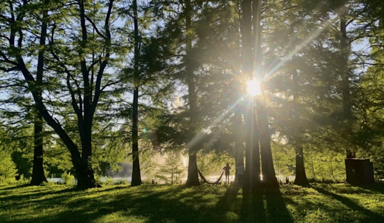 Shuttle to the Woods Free Ride Opens Forest Park to Every Portlander