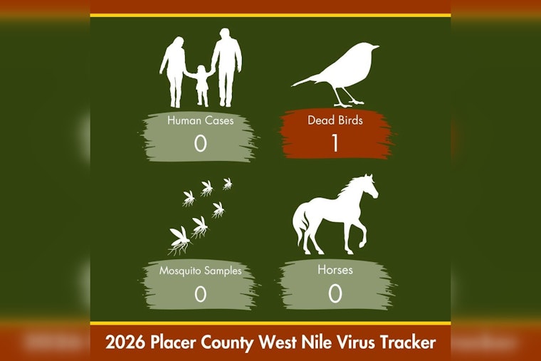 Sick Dove in West Roseville Marks Placer County's First West Nile Bird of 2026