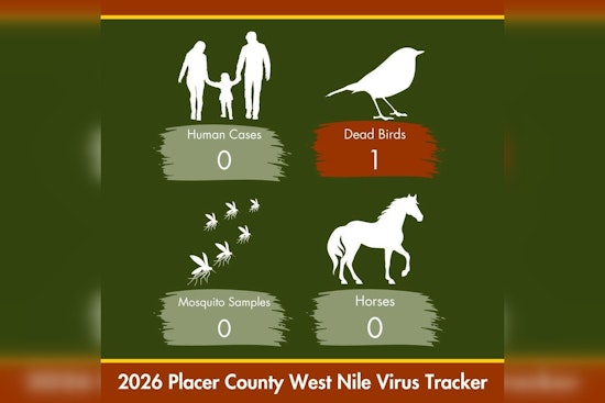 Sick Dove in West Roseville Marks Placer County's First West Nile Bird of 2026