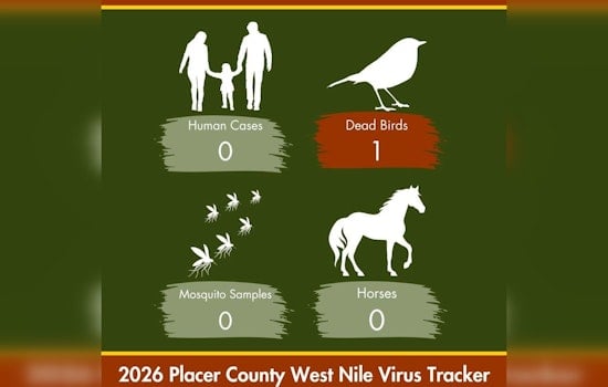 Sick Dove in West Roseville Marks Placer County's First West Nile Bird of 2026