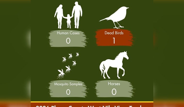 Sick Dove in West Roseville Marks Placer County's First West Nile Bird of 2026