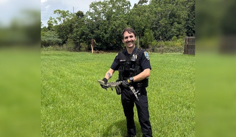 Baby Gator Busted After Strolling Through Slidell Suburb