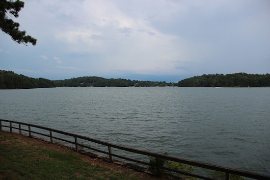 Slimy Lake Lanier Scare Has Swimmers On Edge
