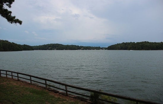Slimy Lake Lanier Scare Has Swimmers On Edge